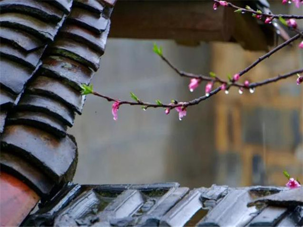 仿古青瓦，青瓦廠家